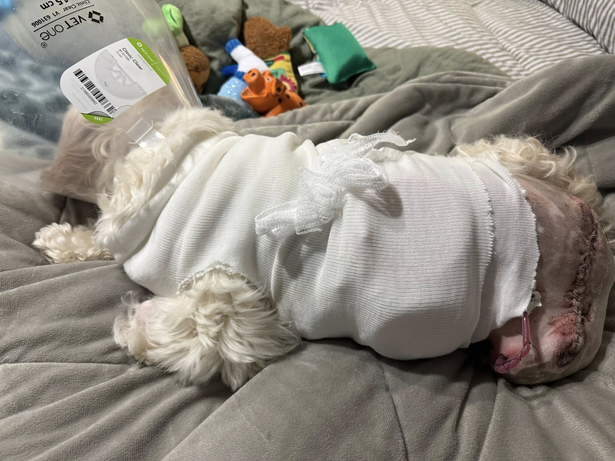 Kona after surgery